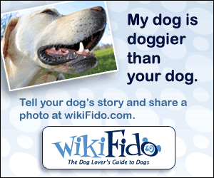 wikiFido